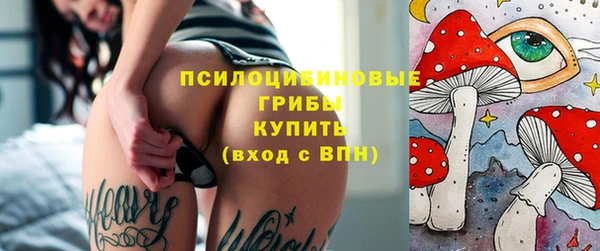 круглые Алзамай