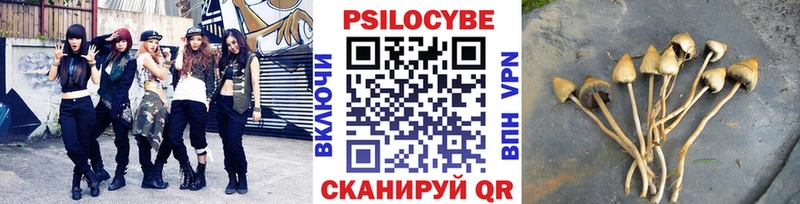 Галлюциногенные грибы Psilocybe  как найти закладки  Лиски 